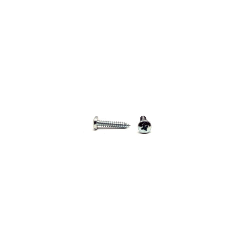 AUTOF.UNI 6954 INOX A2 TC TORX M3.9 X 13